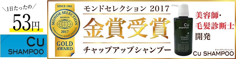 �`���b�v�A�b�v�V�����v�[���T�C�g